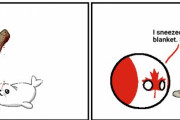 【カナダ】おお、カナダ【ポーランドボール】