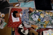 海外「尊敬の気持ちしかない…」福島被災地で捨てられた猫たちを育てる男性に海外称賛（海外反応）