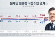 【悲報】韓国人「大韓民国に人畜が多すぎる‥」文在寅大統領の不支持率が支持率を10.3%p上回る　韓国の反応