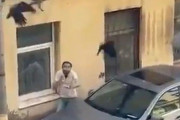 「車の上に飛べないカラスがいたので捕まえてどかそうとしたら…」→他のカラスたちが助けようと襲ってくる