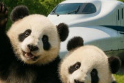 中国人「新大阪から新幹線で東京に行こうとしたら大失敗」　中国人「ごめん、笑っちゃった」「日本の地理に詳しかったらよかったね」