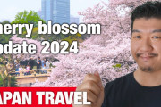 外国人「桜以外もいいよね！」「楽しみ！」日本の花見情報＆桜映像に関心