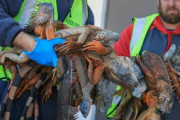 北極寒波のニュースを見て、気象庁不信と皮肉が一斉に噴き出した韓国人の反応
