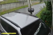 はやく家に帰りたかった！？自宅にダイナミック帰宅