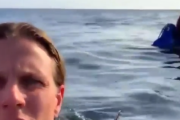 エンジンの故障で太平洋に墜落したパイロットのセルフビデオでの録画映像。海外の反応