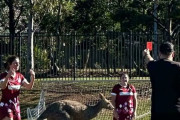 外国人「オーストラリアでしか見れない画像を集めてみたｗｗｗ」