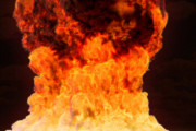『世界爆笑ニュース』ハエを叩き落そうとしたら家が爆発した