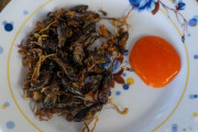 海外「旅行中に食べた一番変わったものと言えば何？」→「日本の鶏の刺身」