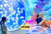 台湾人「日本の八景島シーパラダイスが台湾で開業した水族館、入館料が高すぎる。みんなは行った？」　台湾の反応