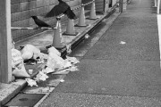 海外「日本人にゴミを分別しない外国人だと思われて嫌がらせを受けてる」→やはり日本でも差別はされるのか？？