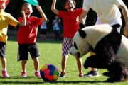 日本、2046年サッカーW杯の開催地に立候補か。共同開催の可能性も　中国人「チャンス到来か！」「あの国ならベスト4確定」
