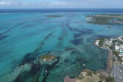 重油流出、海を守るためモーリシャスの人々は髪を切る