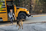 （待ちに待ったスクールバスが来たー！）愛犬と少年の微笑ましい瞬間になるかと思いきや、意外な結果に…