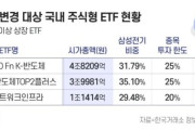 韓国人「サムスン電機、株価10倍に暴騰！ETFのリバランスで売り圧力が…」→「もう終わった話だろ」