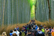 【驚愕】韓国人「日本が海外観光客にこんなに人気な理由って何だろう？」