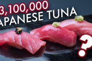下北半島で３億３３６０万円の大間のマグロが取れた場所を観光したよ！