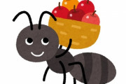 「アリに咬まれて強い痛みを感じることがあるのはなぜ？」メカニズムをわかりやすく解説した映像