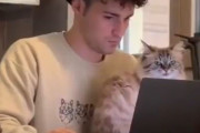 猫「この男は私のものよ！」撮影していた彼女を挑発してくる