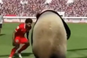 中国人「サッカー2026W杯、日本は死の組に入った模様」　中国人「日本は間違いなく突破できる」「日本代表は確かに強いけど・・」