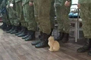 外国人「いてはいけない場所にいる動物の写真が面白すぎるｗｗｗｗ」