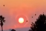 海外「もし太陽が急に爆発したら、みんなどうする？」　←何が起きるんだろうか・・・海外の反応