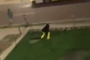 海外「GTA：ミネソタ大学」