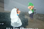 外国人「日本のゲーム開発者は意外とLGBTに寛容かもしれない！」