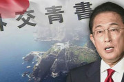 日本政府「慰安婦問題は韓国が解決すべき」…外交青書公開＝韓国の反応
