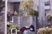 海外の反応：「なんて美しくて礼儀正しいんだ」日本とアメリカの横断歩道を渡る人のマナー比較動画が話題
