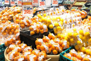 海外「環境意識の高い人が日本に行くのはキツい」（海外の反応）