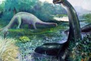 【海外】「謎の生物モケレ・ムベンベ目撃情報急増中！その正体とは？」