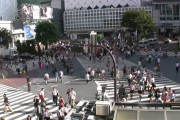 コロナ禍で浮き彫りになった日本社会の特異性に海外びっくり仰天！(海外の反応)