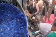 韓国人「滅びてしまったドイツをご覧ください」