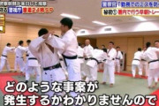 韓国人「フランス警察も驚愕！フランス警察が日本の警察を視察した結果‥」　韓国の反応