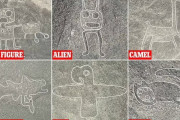 海外の反応     AI技術を用い300以上のナスカの地上絵を発見！山形大学の研究チーム