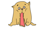 日本の「#愛犬ブサ顔選手権」がどれも面白すぎるｗｗｗ【タイ人の反応】