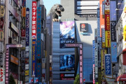 外国人「お前ら日本旅行で初めて撮った写真は何だった？」