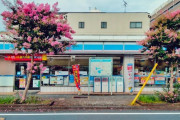 「この時期に日本でピンクの花が咲いてたが何の木？」外国人が詳細を知りたがった日本のモノ特集