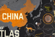 中国：欧米から中国肺炎が持ち込まれている！[海外の反応]