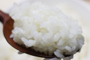韓国人「日本の米って美味しいか？」今は韓国米の方が風味が格別で、日本米を凌ぐ美味しさ　韓国の反応