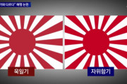 韓国国防部長官「旭日旗と自衛隊旗は違う…少し傾いている」釈明し物議＝韓国の反応