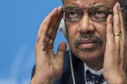 「韓国や日本など4カ国が最大の心配」…WHO、中国また称賛＝韓国の反応