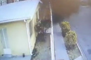 海外「メキシコで怪奇現象。鳥の集団が謎の死を迎える」