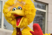 幼児番組『セサミストリート』のキャラがワクチン接種を報告→ 米政治家が発狂してしまうｗｗｗｗｗ