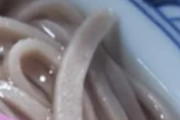 日本の蕎麦の中に入っているこの物体は何？←「ああ、それね・・・」（海外の反応）