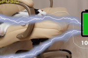 充電が切れたように眠る、元保護猫プーシックくんを充電しなおしてみたらこうなった！