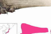 世界のバケモノをイラストにする海外絵師が話題　日本のあの妖怪も