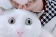 飼い主が突然猫顔になったら？！猫ちゃん達の反応が面白くて可愛すぎると話題に！