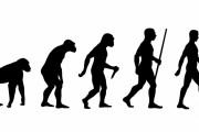 海外「ダーウィンが生きてたら、興味津々だろうな」日本人ってのは本当に面白い民族だｗｗｗ