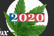 アメリカ新大統領誕生で、マリファナはこれからどうなる？　海外の反応